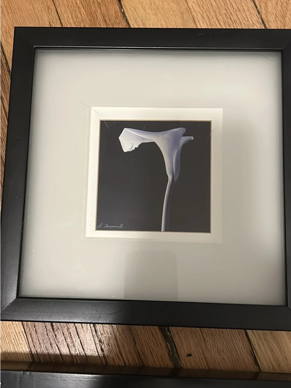 Black Framed Calla Lily Wall Art - Daniel Tocconelli